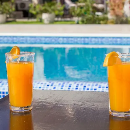 Bozena بروداريكا