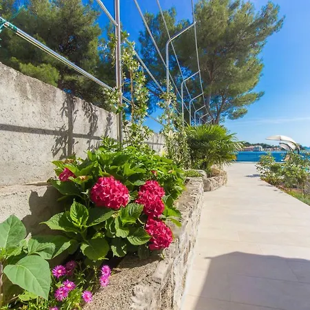 Bozena * Brodarica (Sibenik-Knin)